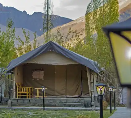 Nubra Camps