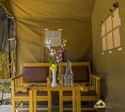 Nubra Camps