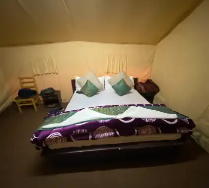 Nubra Camps