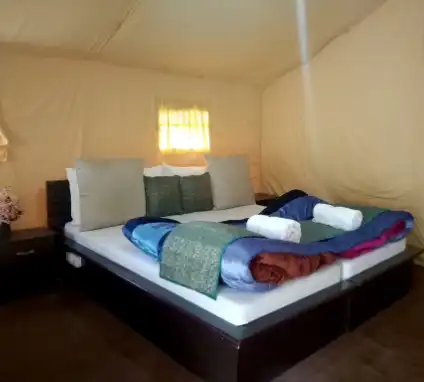 Nubra Camps