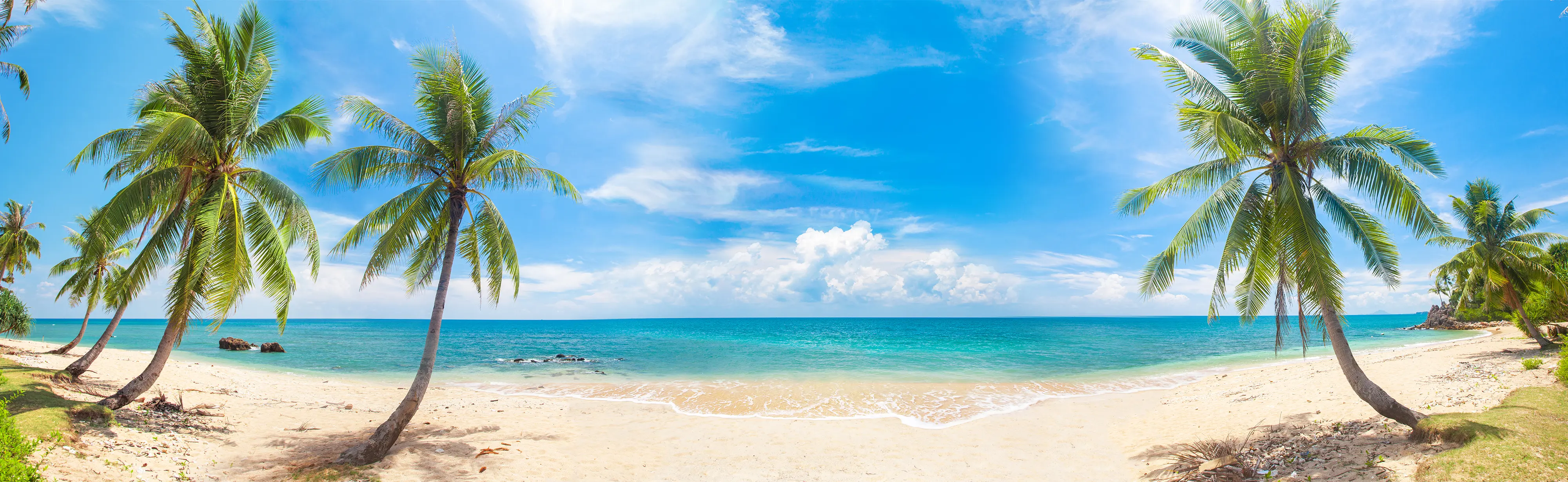 Explore Bali